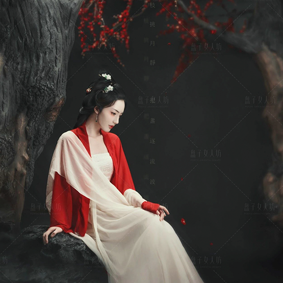 宋朝服饰之烟月：天边落梅谁家树，烟月相含不知数。
